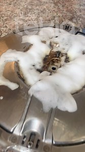 Entretien 🫣🧼🫧 #cocotte #seb #oran #alger #entretien #electromenager #cuisine | TEKLA