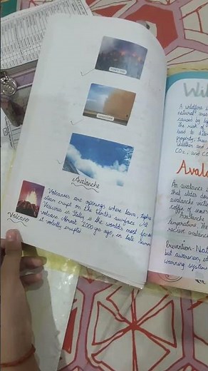 class 9 disaster management project #sst #disastermanagement