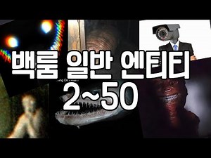 백룸의 일반 엔티티들 2~50번