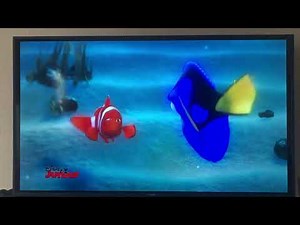 Finding Nemo Marlin Meets Dory For The First Time