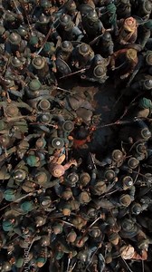 2.3M views · 128K reactions | Even in his final battle, his strength...