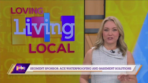 Give your basement an update with Ace Waterproofing and Basement Solutions