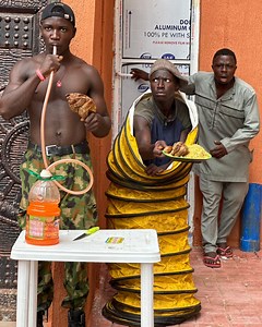 The yellow horse food | Broda 2much talk 2