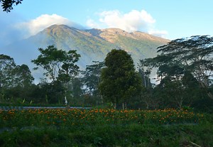Entire island evacuated as volcanoes rumble