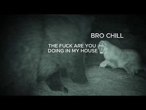 If animals in Prehistoric Planet Ice age had subtitles