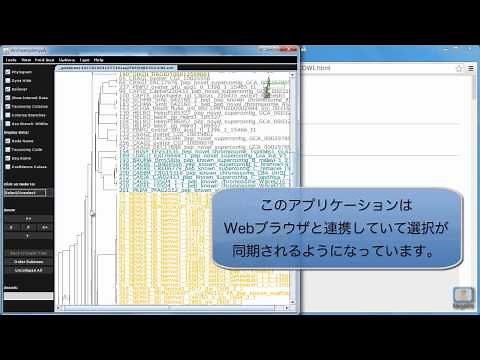 aLeavesとMAFFTを使って1つのアミノ酸配列から系統樹を推定する