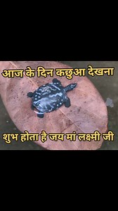 1.7M views · 192K reactions | Support Creator fans on Reels | Facebook