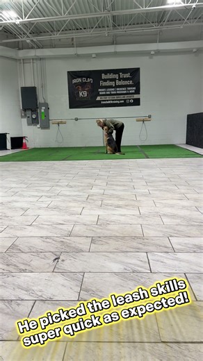 Bodie is here for our day training program this week! He had a great day and learned how to act like a gentleman on leash! He picked it up quick and adhered to the new expectation extremely well! Proud of you buddy! 🤩 #gsd #dogtraining #communicationiskey | Iron Clad K9 Training LLC