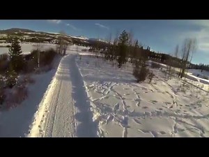 FPV Speed Racer Quad - Tree Top Racing