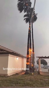11M views · 56K reactions | Raging wildfires in Los Angeles area kill...