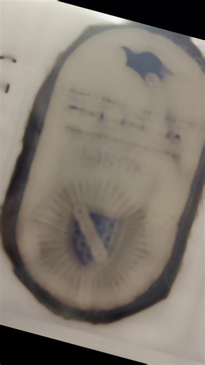 Wartime Patches from Sarajevo and the Cellist Tribute