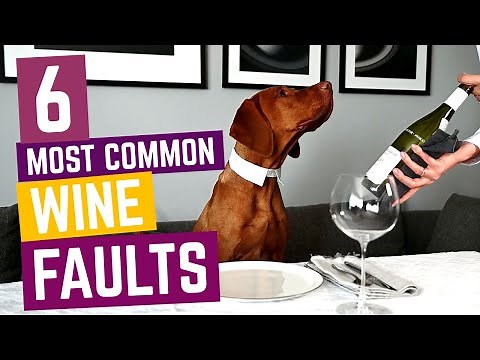 6 Most Common Wine Faults (Reasons to Send Wine Back)
