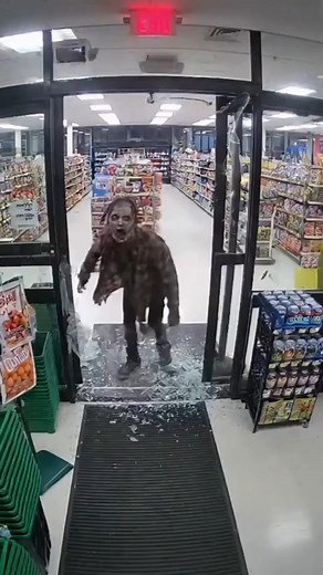 Zero survival instincts whatsoever | Project Nightwalker