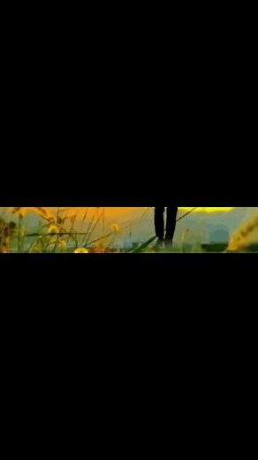 王永红在抖音记录美好生活20240401