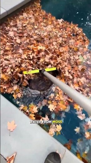 The Secret Pool Above the Terrace 🏊