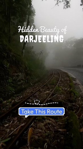 Darjeeling Foggy Road View | Darjeeling Roads Above Clouds😍 #travel #darjeeling #shorts