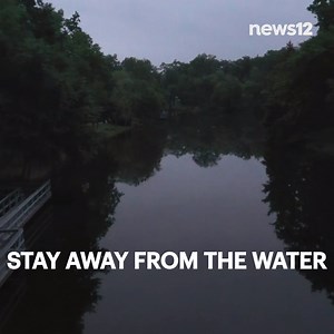 3.8K views · 54 reactions | WATER WARNING: New Jersey's Department of Environmental Protection, as well as the Middlesex County Hazmat, are being forced to deal with thousands of dead fish, and last week's water main break in Piscataway is to blame. Residents are being asked to stay away from the area - https://bit.ly/2Ua1fmu | News 12 New Jersey | Facebook
