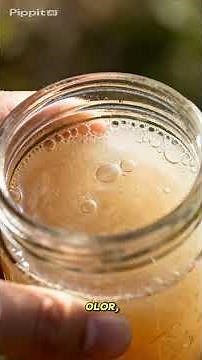 HOMEMADE ORGANIC FERTILIZER