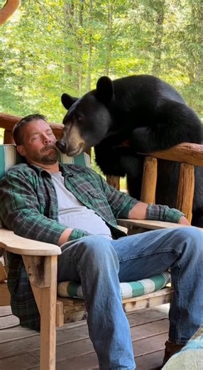 25K views · 134 reactions | The bear came to scare him… but got scared instead!  | Gadget Radar | Facebook