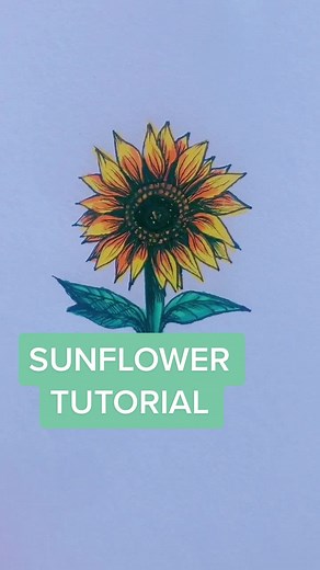 How to Draw a Sunflower with Shadow Tutorial