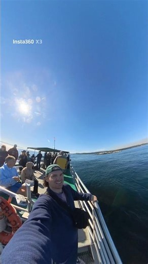 iPHONE HIDDEN TRAVEL FEATURE 📱✈️