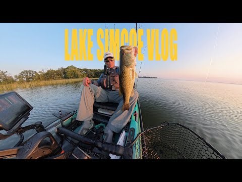 Master Drop Shot Fishing for Bass: My Kayak Fishing Vlog on Lake Simcoe