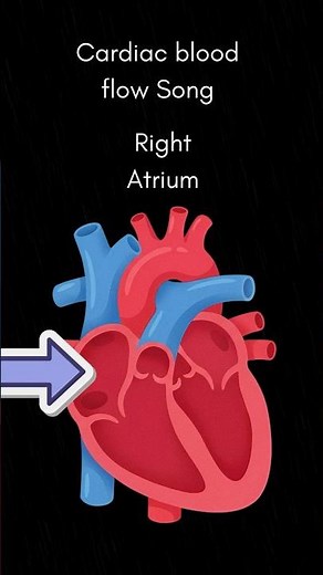 Cardiac Blood Flow Made Easy | Study Song #nursingschool #nursingstudents #nclexprep