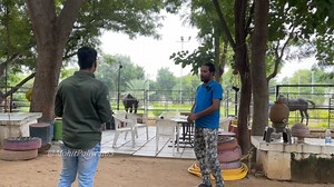 15K views · 931 reactions | HOW TO EARN PROFIT IN HORSE STUD FARM IN INDIA || DEV STUD FARM TOUR KANKROLI || PART -2 | Mohit Paliwal | Facebook