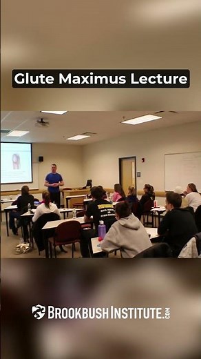 Glute Maximus Lecture