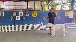 112K views · 2.5K reactions | မေ့ဆေးပေးပီးတော့ခေါ်လာတဲ့ သားသားကြီး...