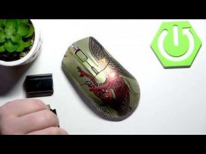 STEELSERIES CS2 Dragon Lore – How to Find Serial Number