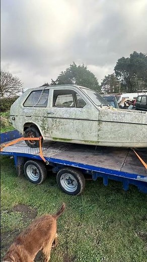 reliant robin restoration project