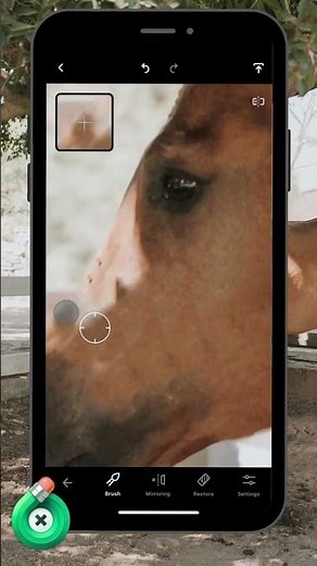 With the Lines tool you can easily remove even bridle! #touchretouch #editing #lines #tutorial