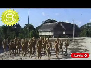 Identifying some of the Amazon rainforest's hidden tribes! #indigenoustribe #amazonforest