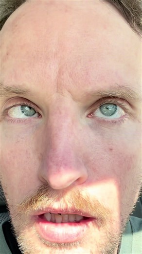 These bobbies didn’t get the attn they deserved so I’m putting them back in your face. | #florida #wildlife #bobcats #kittens #kitties