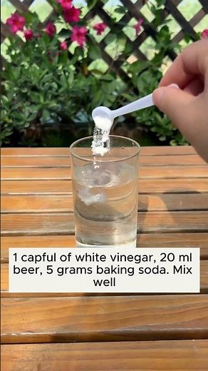 Soil Too Hard in Pots? 🪴 Easy Fix for Compacted, Non-Breathable Soil!