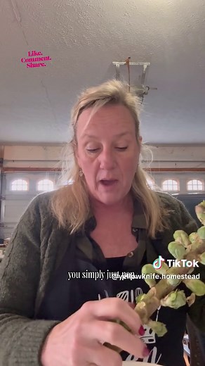 How to Freeze Brussels Sprouts: A Simple Blanching Guide