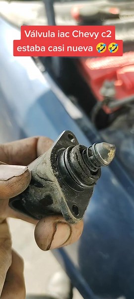 Cuentas recomendadas