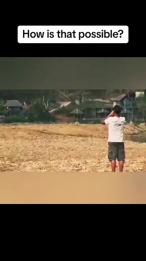 4.2M views · 281K reactions | The memory of elephants is only a mirror of their extraordinary intelligence. They are among the most social, intelligent and benevolent species in the world and do not easily forget what was done to them. This video proves that for us. #fy #fyp #foryou #elephant #intelligent #social #viral #sahihoffical | Save Elephant's | Facebook