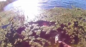 11K views · 113 reactions | Our friend Justin Mercado sent us this from Palm Coast! First cast Bass on the P300!! Go to www.piranalures.com and take advantage of our buy 2 lures get a lure free promotion! Simply buy ANY 2 lures and we will send a third lure FREE!! | Pirana Lures | Facebook