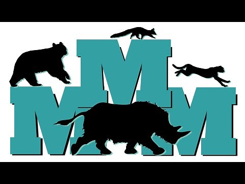 MMM Playing the Game