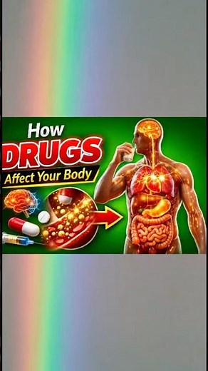How Drugs Affect Your Body: Inside Your Anatomy
