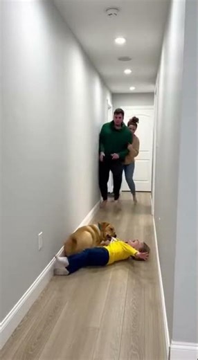 Unexpected Clips 😂 Funny / Shocking Moments Caught on Camera | Shorts