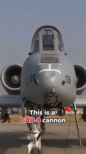 This Aircraft Was Built Around The Gun