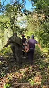 BELIZE & GUATEMALA JOIN FORCES TO RESCUE A MAN A male individual was rescued after falling into a ravine along the Belize–Guatemala adjacency line. The cause of the fall is unknown. The victim sustained a suspected fracture to his lower right leg. Belizean police officers assisted in the rescue, working jointly with Guatemalan authorities and the Guatemalan National Army. The injured man was stabilized at the scene and transported to the Melchor Hospital emergency department. No further details 