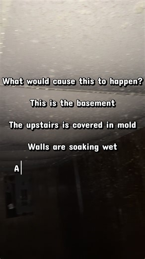 Basement soaking wet entire house is covered in mold. What would cause this to happen ?