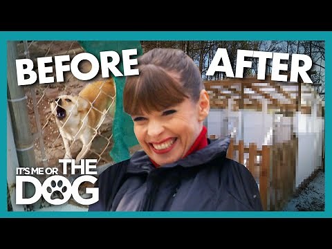 Victoria Gives Struggling Dog Shelter a $250k Makeover! | It's Me or The Dog