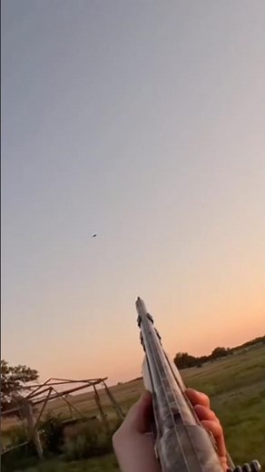 Dove hunting MADNESS with Shotkam footage