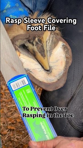 Rasp Hack- Using Half The Rasp Sleeve Over My Foot File to Trim Hoof Flat
