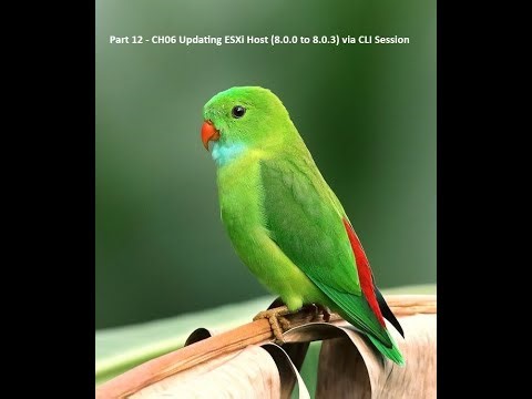 Part 12 - CH06 Updating ESXi Host (8.0.0 to 8.0.3) via CLI Session